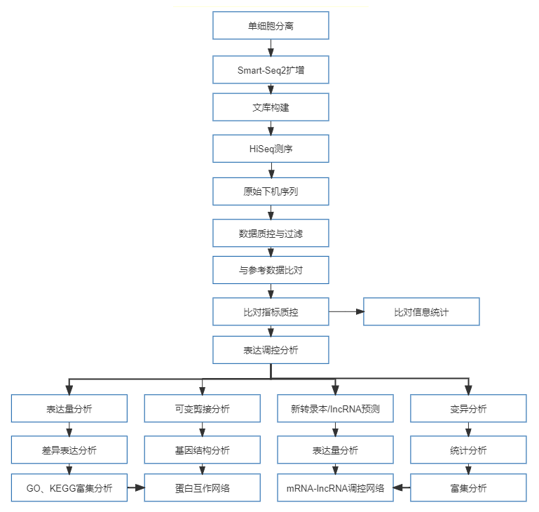 29、单细胞转录组测序.png