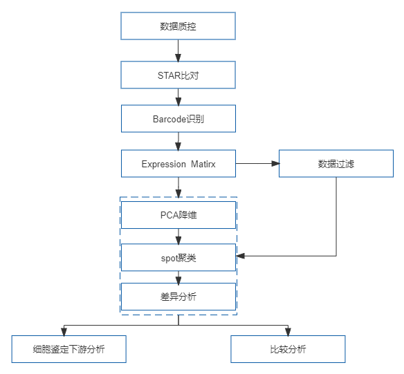 32、10x Visium 空间转录组测序.png