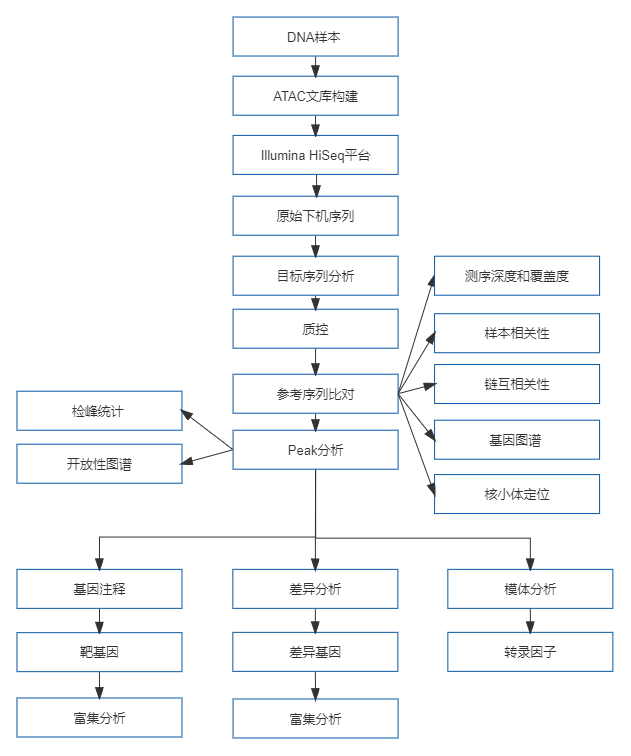 23、ATAC-seq.png