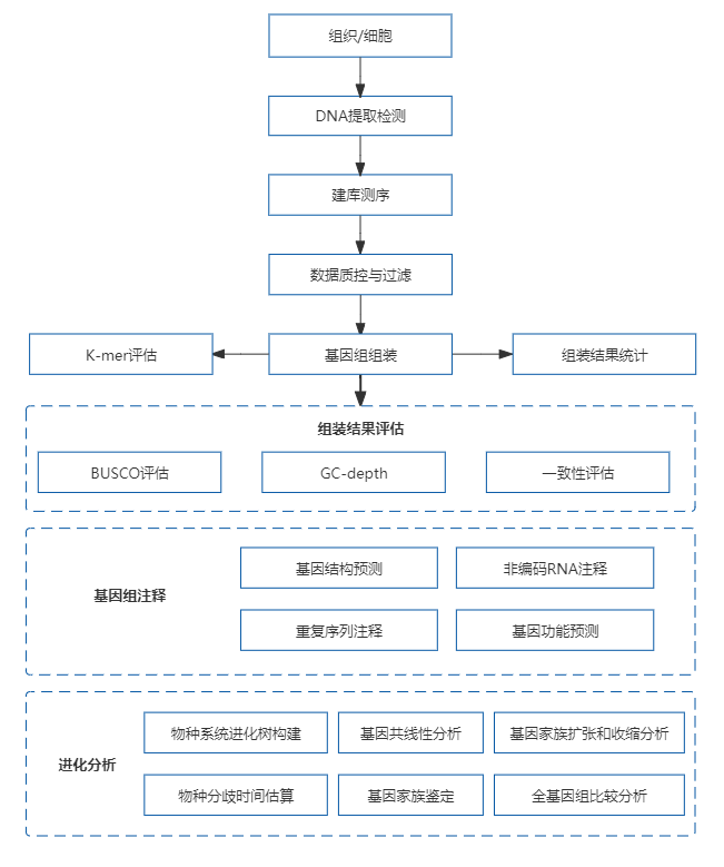 4、动植物基因组de novo.png