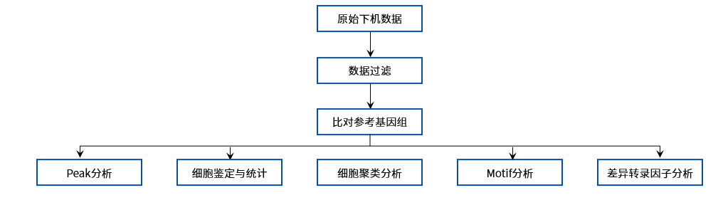 10X ATAC技术路线图.png