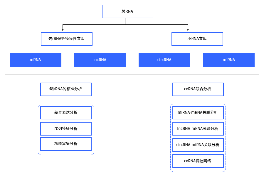 全转录组技术流程图.png