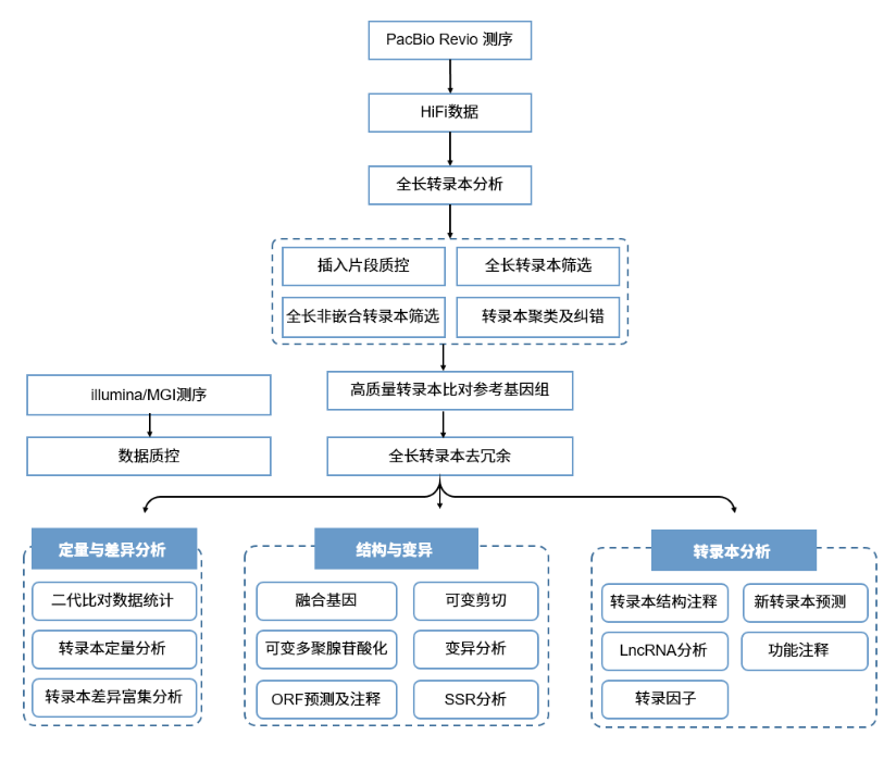 kinnex全长转录组技术流程图.png